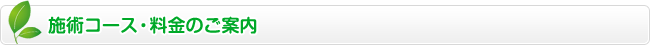 施術コース・料金